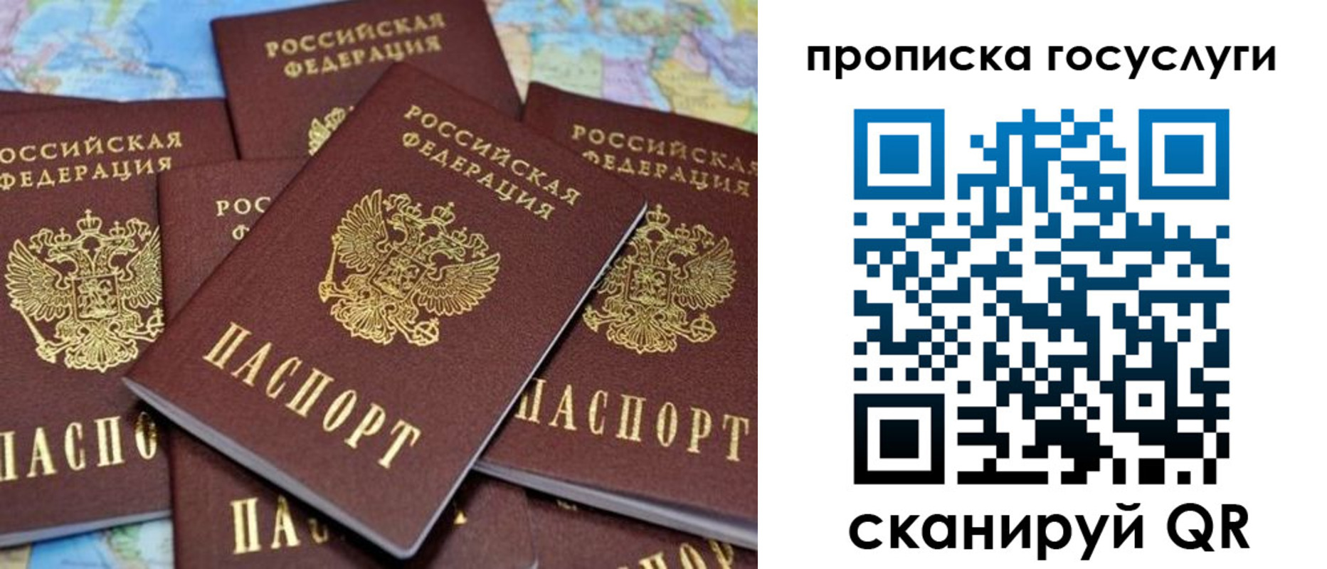 временная регистрация для всех в Железногорске
